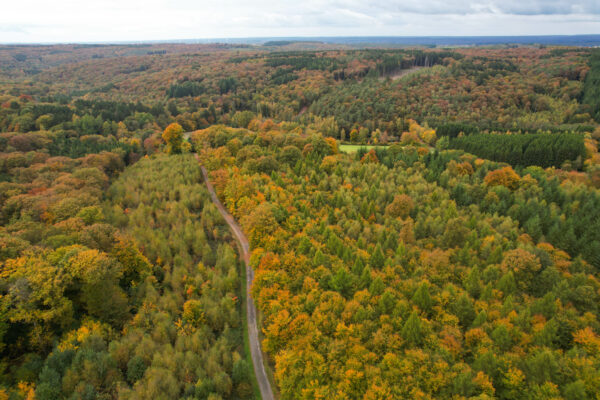 Viroin Valley Experience